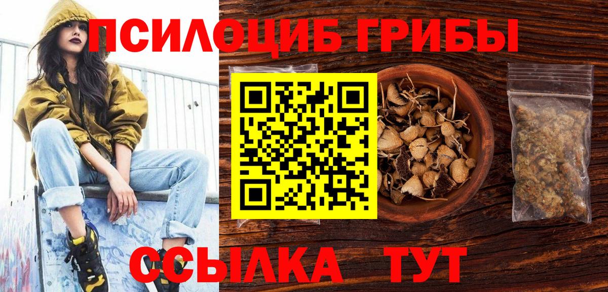 Улан-Удэ  Галлюциногенные грибы Magic Shrooms  Вход с VPN 